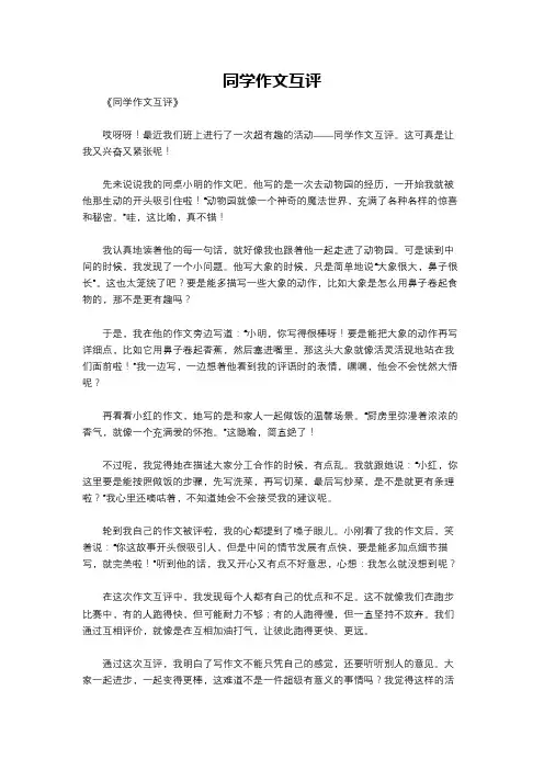 同学作文互评