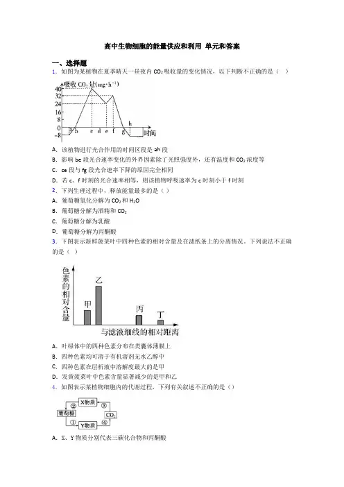高中生物细胞的能量供应和利用 单元和答案