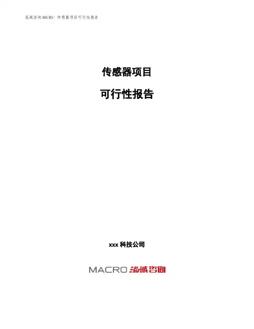 传感器项目可行性报告 (1)