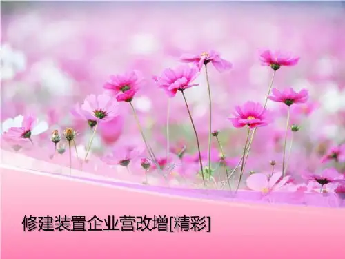 修建装置企业营改增[精彩]-讲义