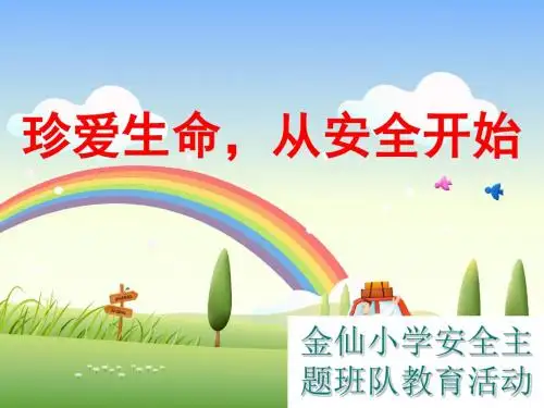 金仙小学安全教育主题班会课件