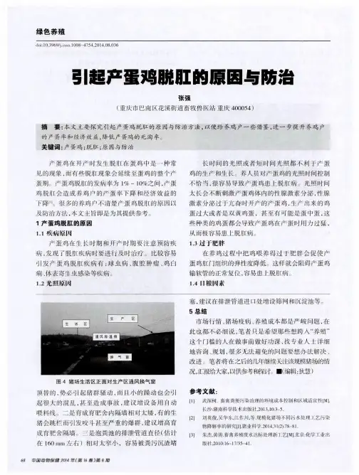 引起产蛋鸡脱肛的原因与防治