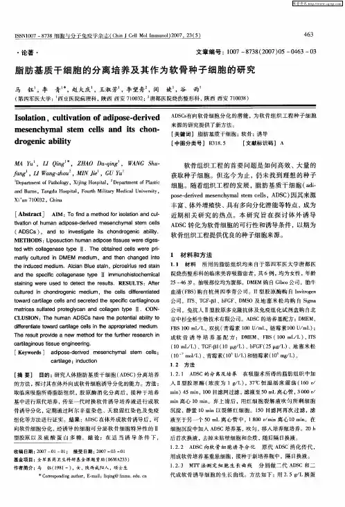 脂肪基质干细胞的分离培养及其作为软骨种子细胞的研究