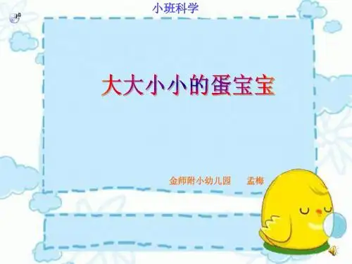 大大小小的蛋宝宝
