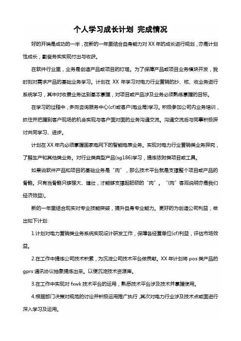 个人学习成长计划 完成情况