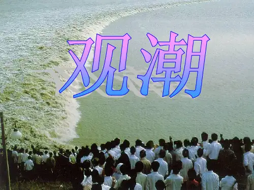 四年级上《观潮》ppt课件