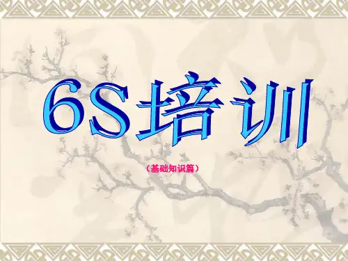 6S培训资料(基础知识)PPT课件