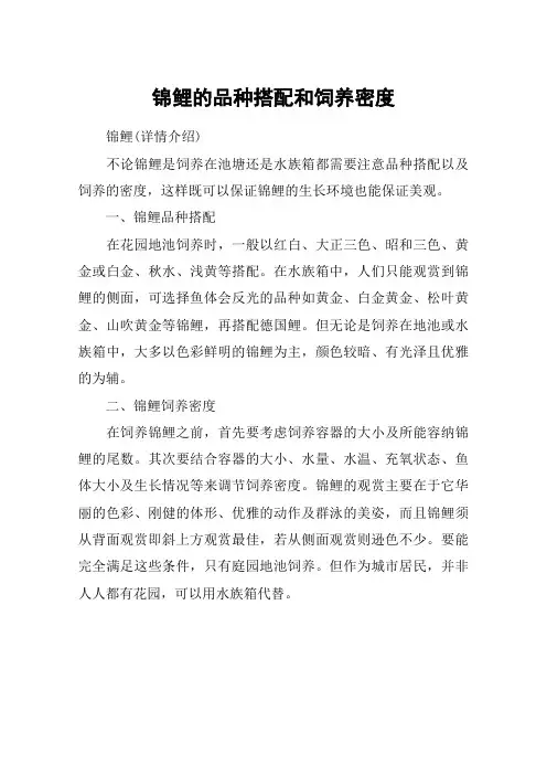 锦鲤的品种搭配和饲养密度