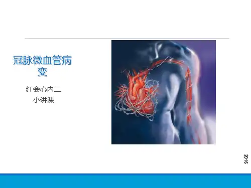小讲课冠脉微血管病变