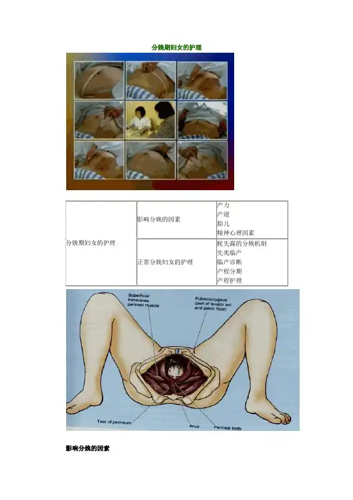 初级护师妇产科精要3模板