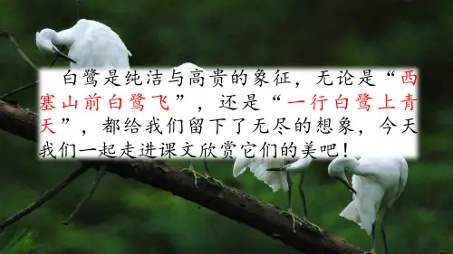人教部编版五年级语文上册全套教学课件(2019年秋最新)
