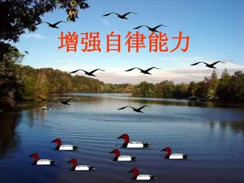 增强自律能力