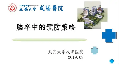 脑卒中预防策略