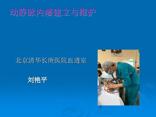 动静脉内瘘的建立与维护