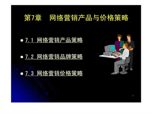 网络营销产品与价格策略