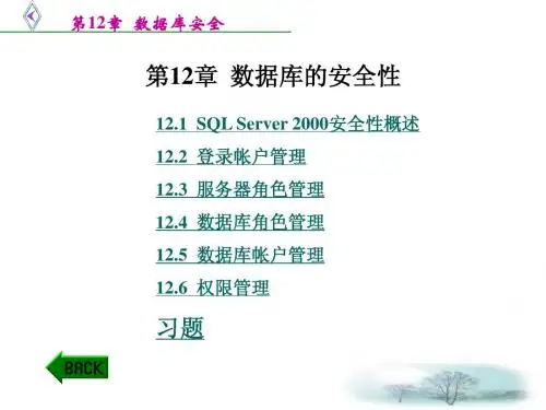 第12章 数据库的安全性