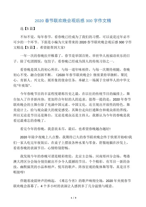 2020春节联欢晚会观后感300字作文精