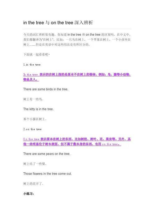in the tree与on the tree深入辨析