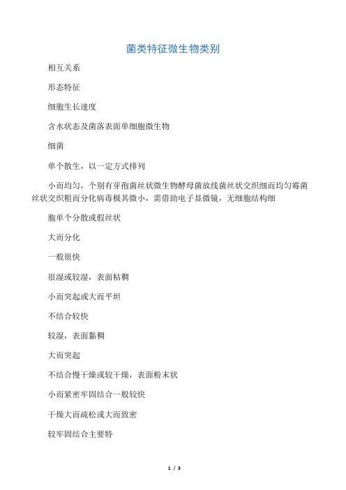 细菌、酵母菌、放线菌、霉菌比较