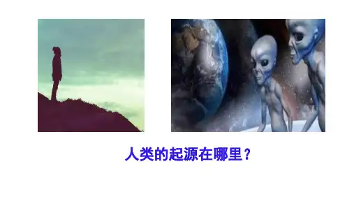 人教部编版七年级历史上册第1课 中国境内早期人类的代表——北京人课件(25张PPT)+素材优秀课件