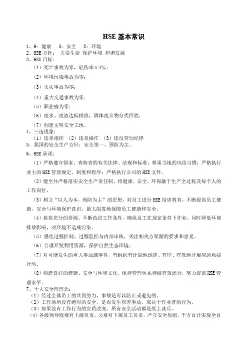 HSE基本常识