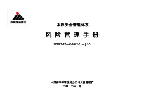 风险管理手册(2012)