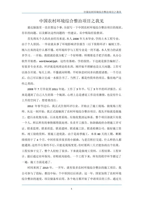 中国农村环境综合整治项目之我见