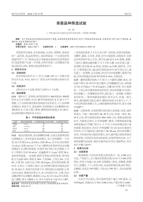 草菇品种筛选试验