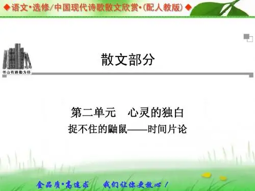 捉不住的鼬鼠——时间片论    导学课件