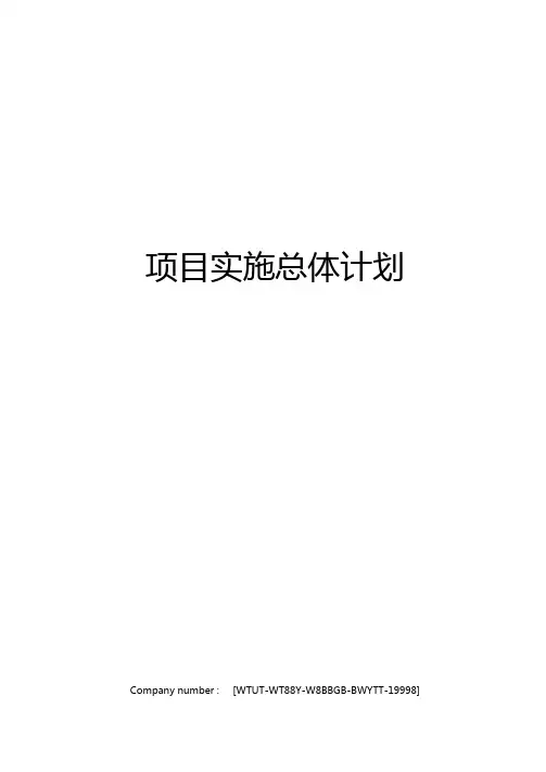 项目实施总体计划