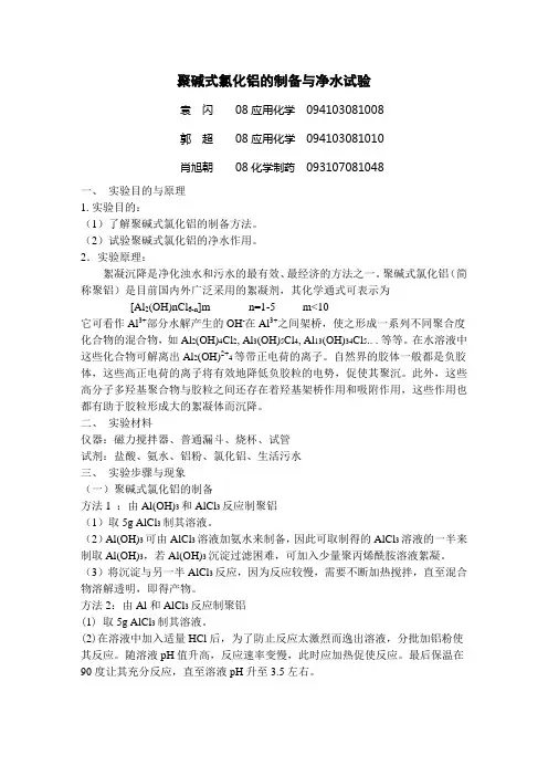 聚铝实验报告
