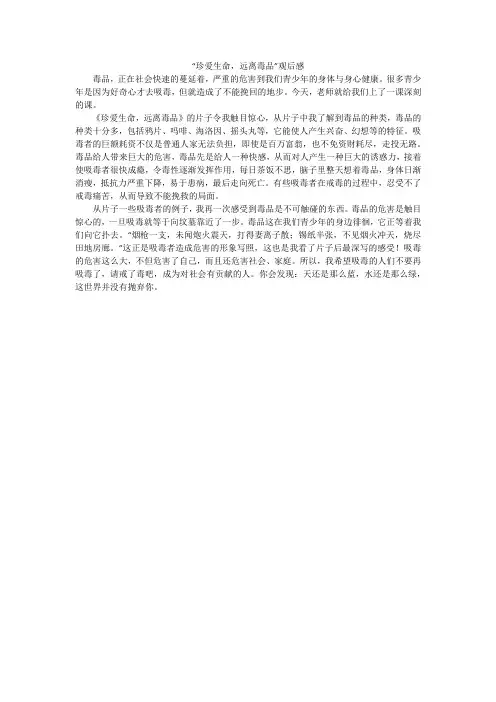 “珍爱生命,远离毒品”观后感_小学作文