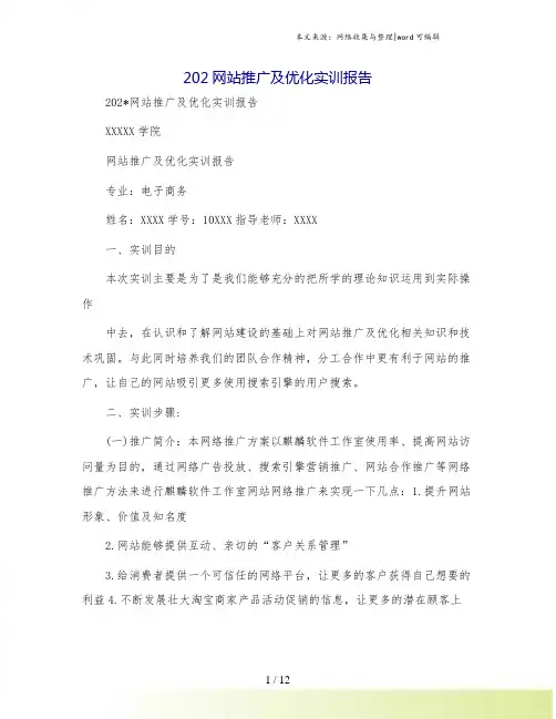 网站推广及优化实训报告