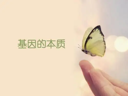 高中生物必修二第三章基因的本质复习