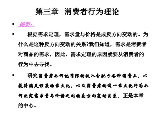 第三章 消费者行为理论