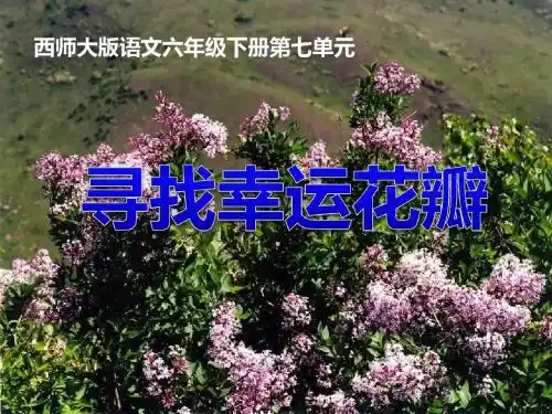 《寻找幸运花瓣》PPT优秀课件