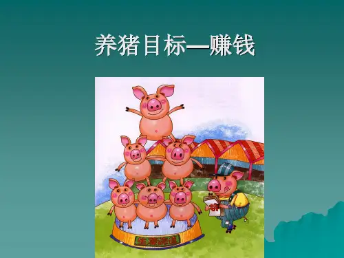 概述泰妙菌素