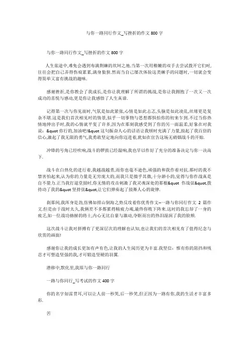 与你一路同行作文_写挫折的作文800字