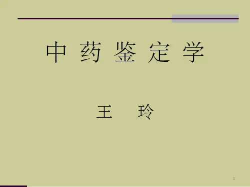 《中药鉴定技术》PPT课件