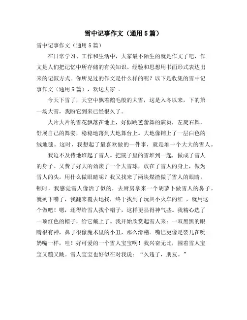 雪中记事作文(通用5篇)