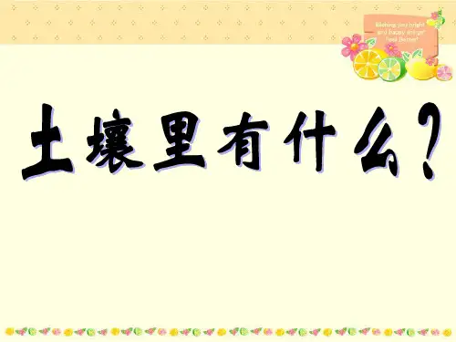 土壤里有什么-PPT全文课件