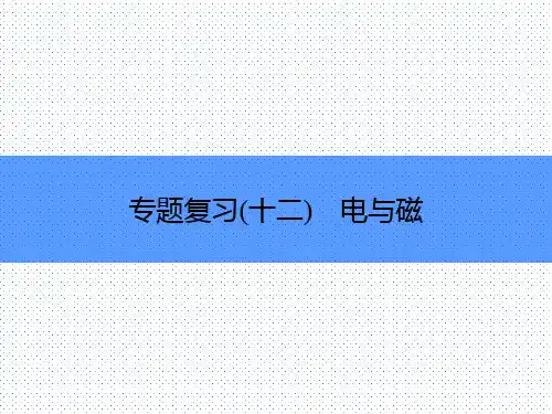 九年级初三物理全册《专题复习12》教案