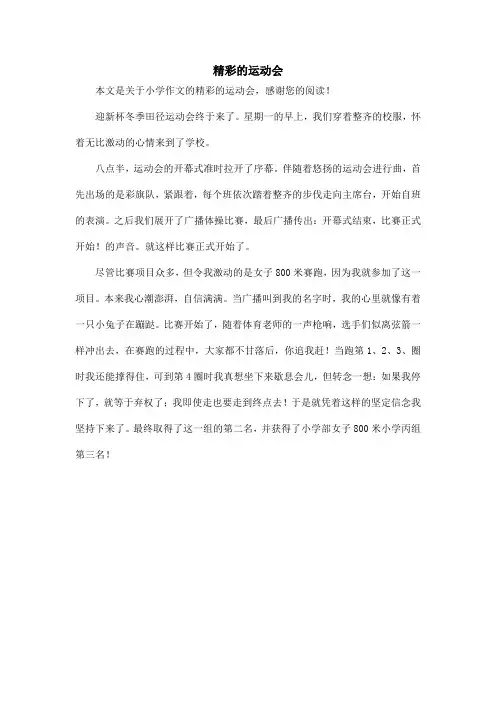 精彩的运动会_小学作文