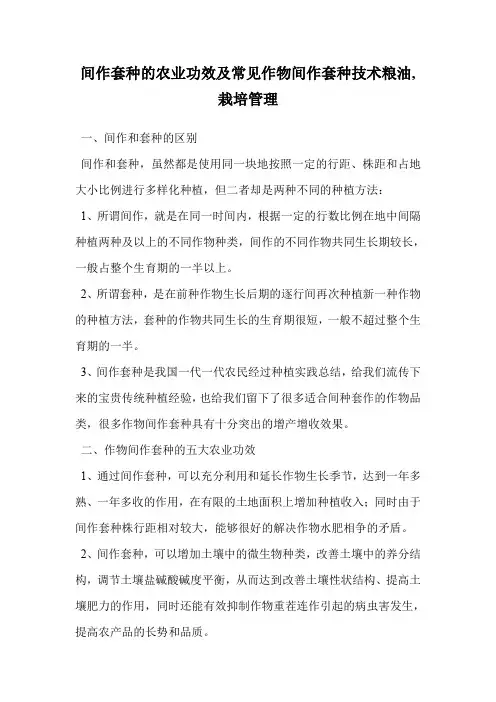 间作套种的农业功效及常见作物间作套种技术(栽培管理)