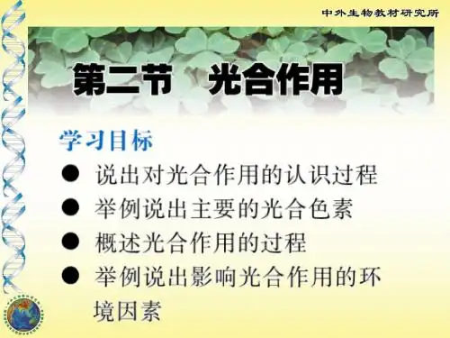 第二节光合作用