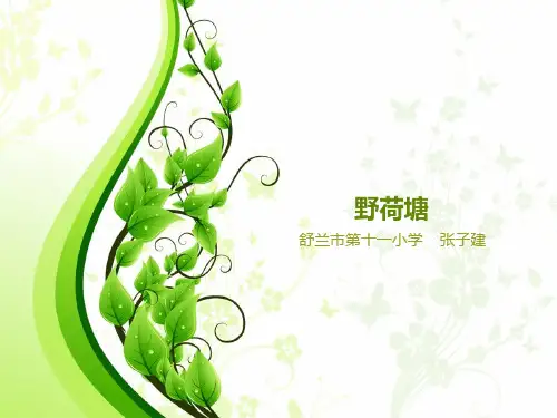 野荷塘