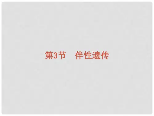 2019-2020学年新教材高中生物 第2章 基因和染色体的关