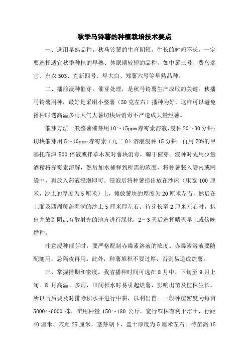 秋季马铃薯的种植栽培技术要点