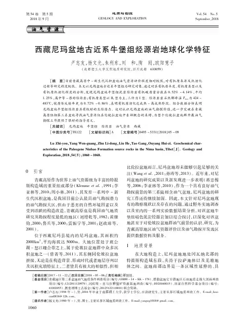 西藏尼玛盆地古近系牛堡组烃源岩地球化学特征