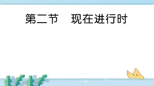 第二节 现在进行时 (2)